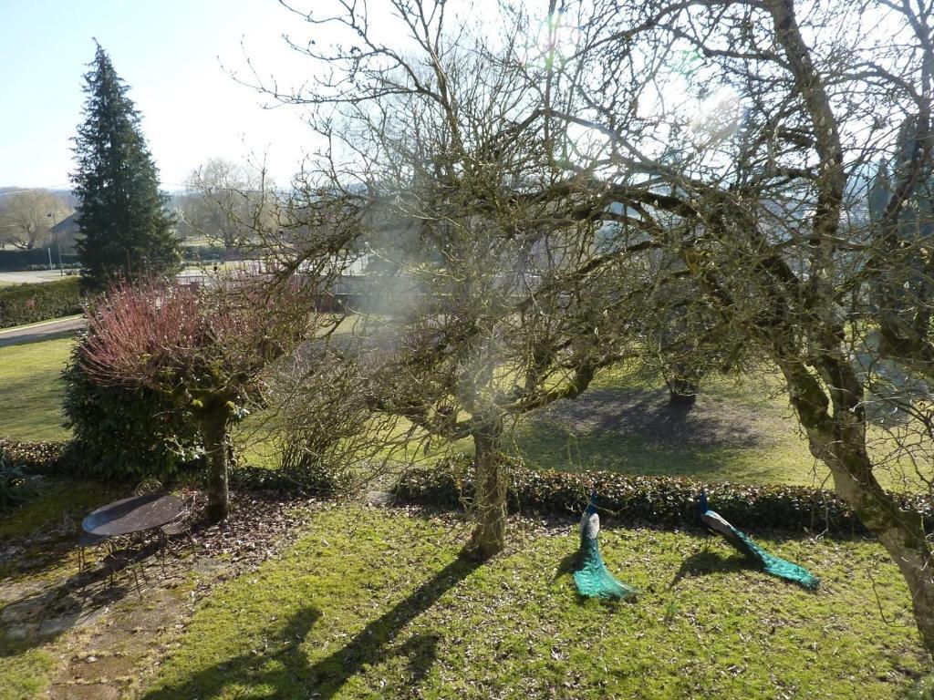 Chambres D'Hotes La Corne Aux Vaches Fretigney-et-Velloreille Luaran gambar